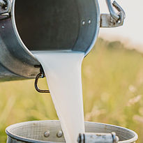 lait d'anesse, terra di natura