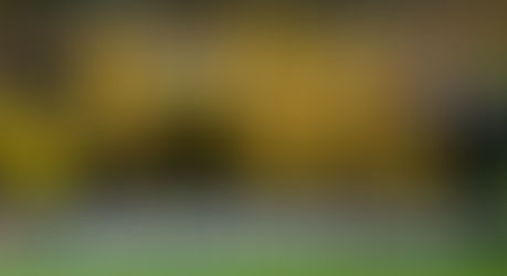 Borussia é superior e leva o Bi da Supercopa da Alemanha
