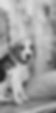 marten-bjork-mO_wNXV-Bts-unsplash_edited.jpg