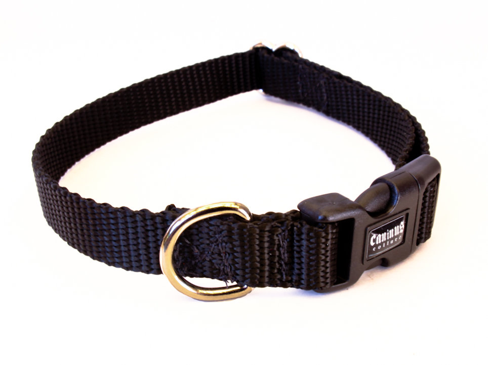 5/8" Width Nylon Cat Collars caninuscollars