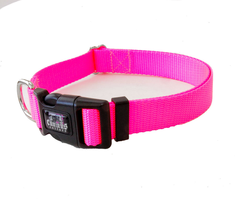 Collars caninuscollars