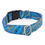 Thumbnail: Blue Marble Collar