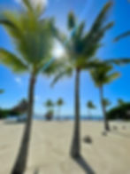 Resort