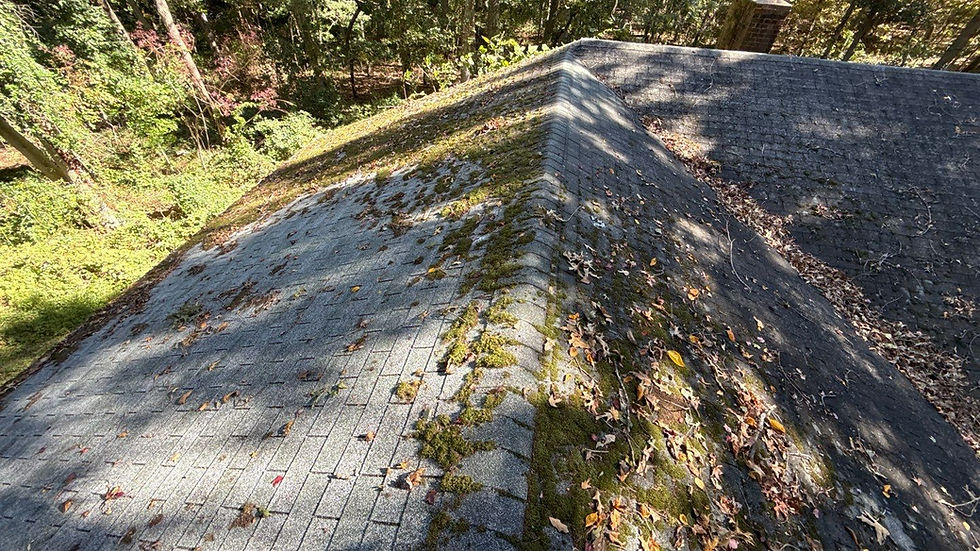 this is a picture of a roof that needs a lot of repairs made.