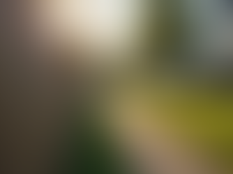 Secure Your Property with Expert Fencing Solutions