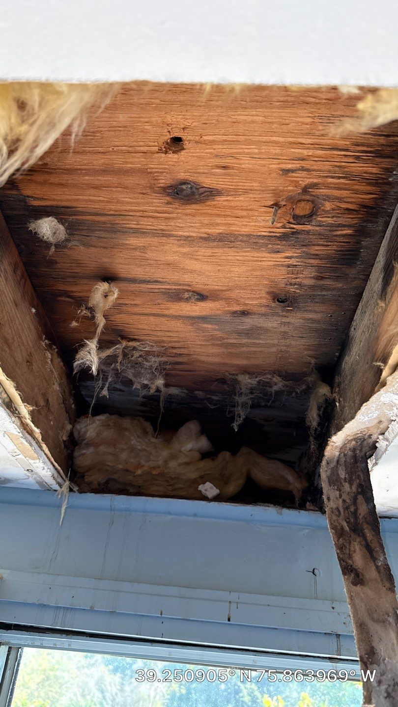 Damaged roof with visible wood structure and decay, showing old construction.