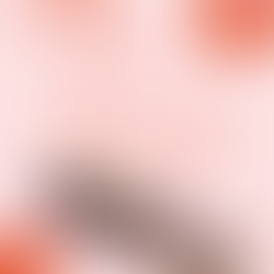 Monthly Wrap - January!