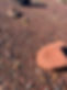 1000023525.jpg