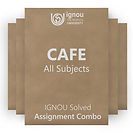 CAFE Solved Assignment Combo (2023-24)