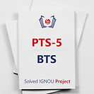 PTS-5: Mumbai’s Development and its Impact on the Environment(BTS Project)