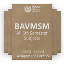 BAVMSME 6th Semester Solved Assignment Combo (2023-24)