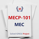MECP-101 IGNOU MEC Project: Effect of Covid-19 on Women in Punjab