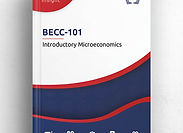 IGNOU Insight: Introductory Microeconomics | BECC-101 | Interactive Study Guide