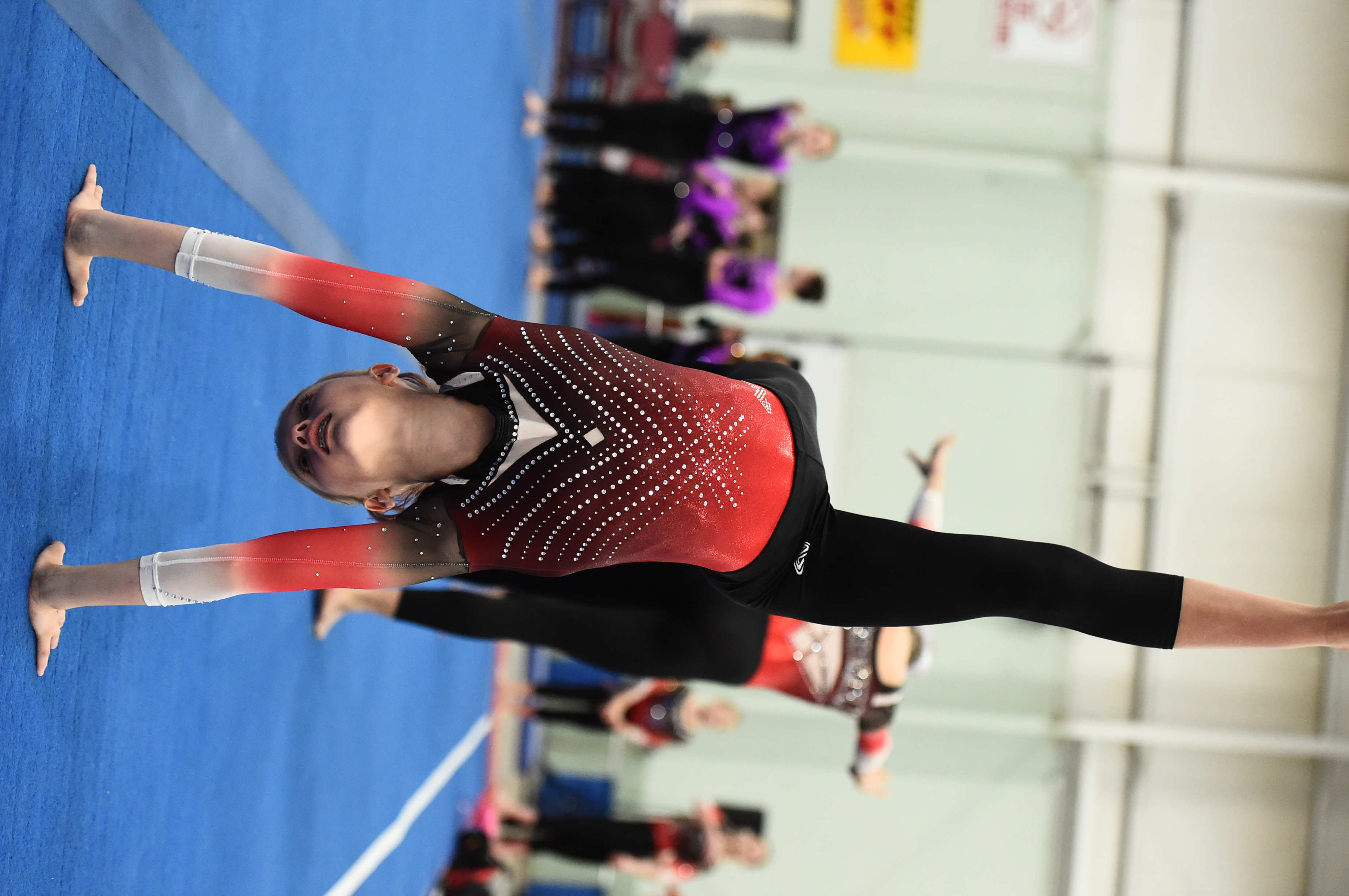 Tim Weaver Battlefield Invitational York, PA Gymnastics