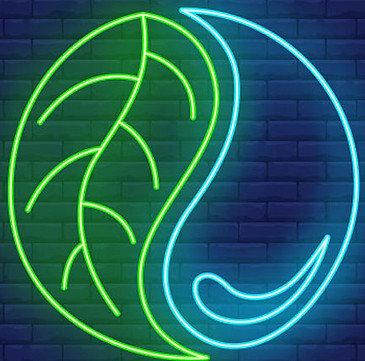 yinyang.jpg