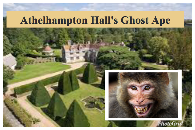 Ghost Ape
