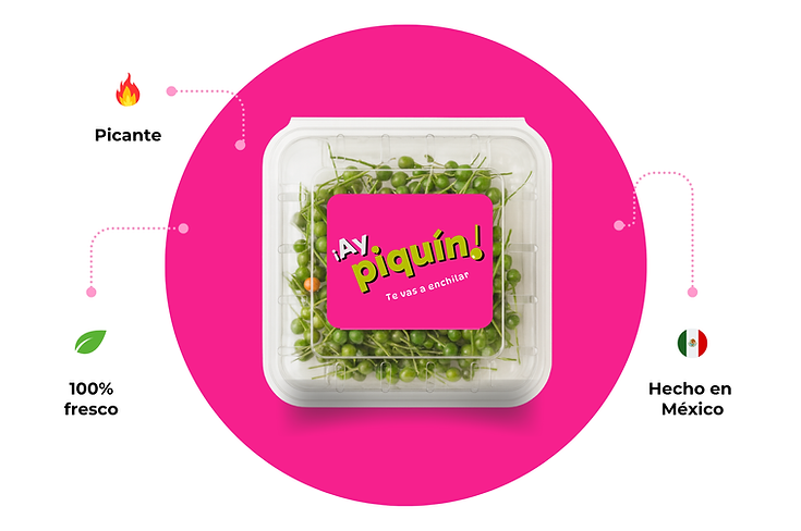 ¡AY,PIQUÍN! DOMO WEB ROSA1.png