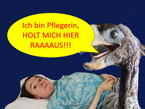 Ich bin Pflegerin, holt mich hier raus!!!