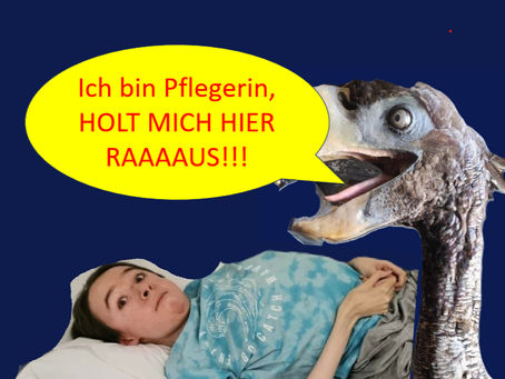 Ich bin Pflegerin, holt mich hier raus!!!