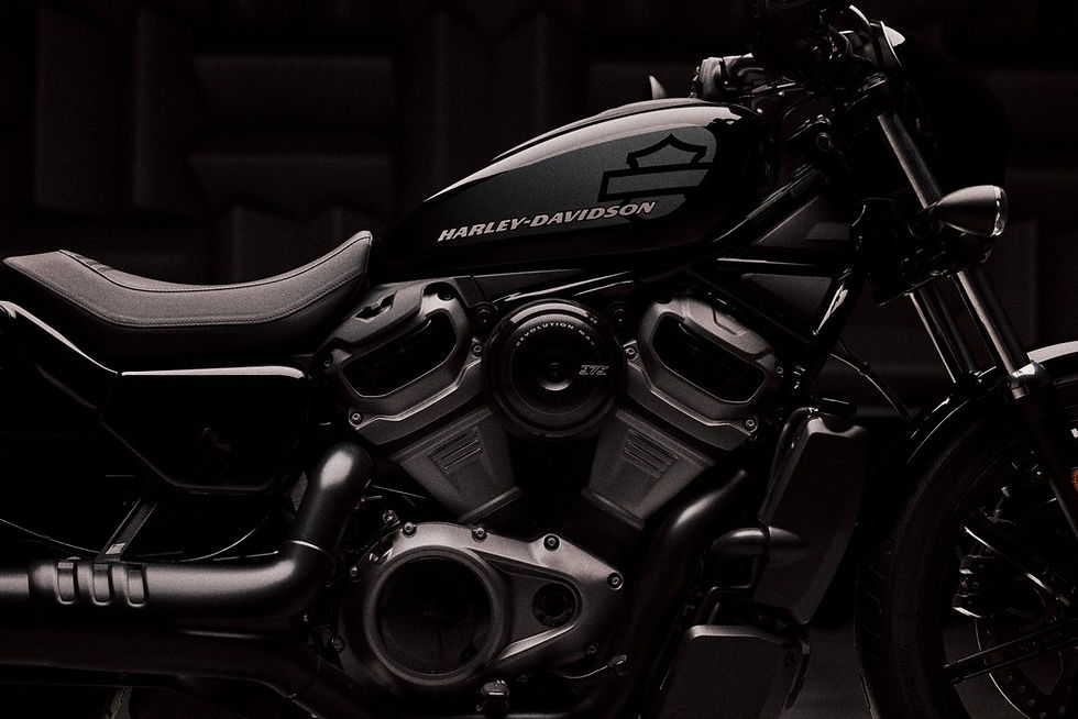 2022 Harley Davidson Nightster