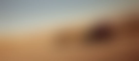 2024 Triumph Daytona 660: The Daytona That Isn’t?