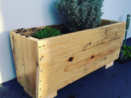 planter .jpeg