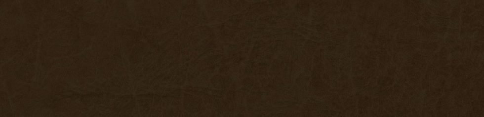 Top Banner Background Dark.jpg