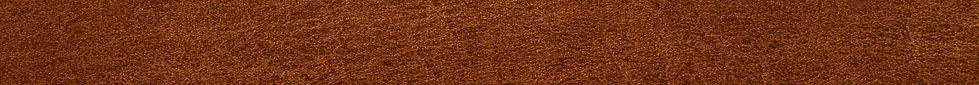 Brown Strip Back.jpg