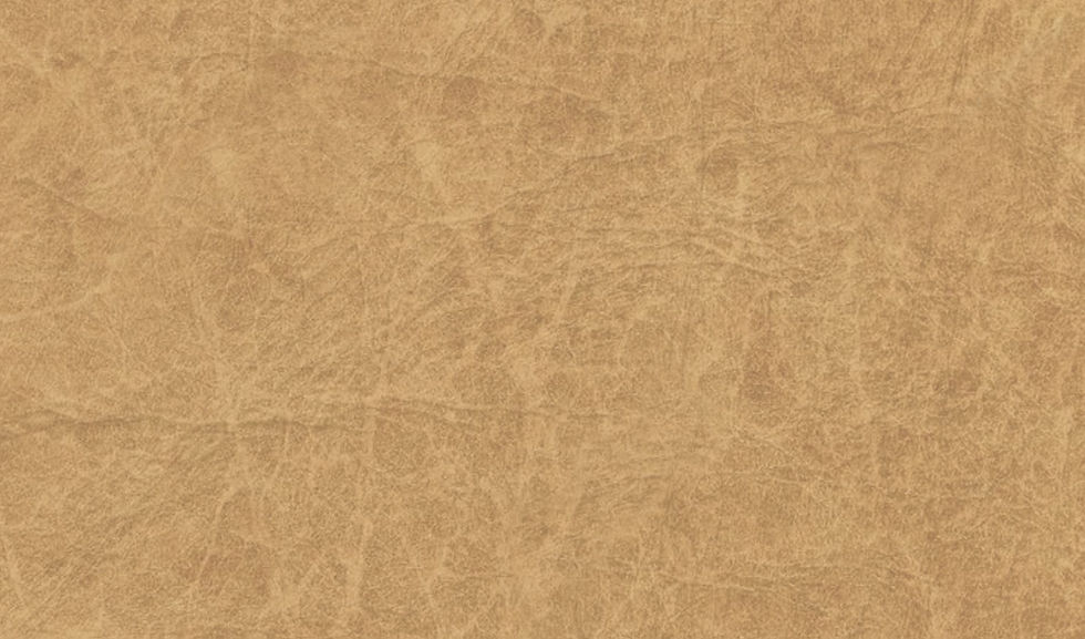 Top Banner Background.jpg