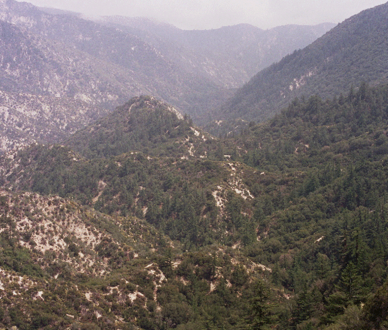 LA Wild Canyon.gif