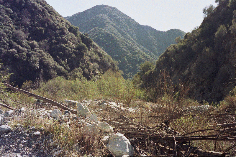 Cattle Creek Canyon1.gif