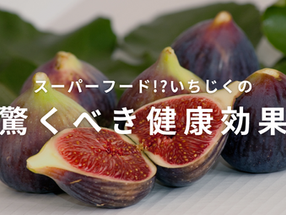 スーパーフード!?イチジクの驚くべき健康効果と毎日の食事に取り入れるべき理由