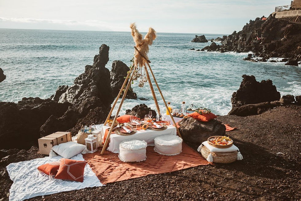 Miniature : Luxury Pic Nic