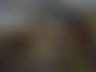 PoDs of the Thirty Years War​