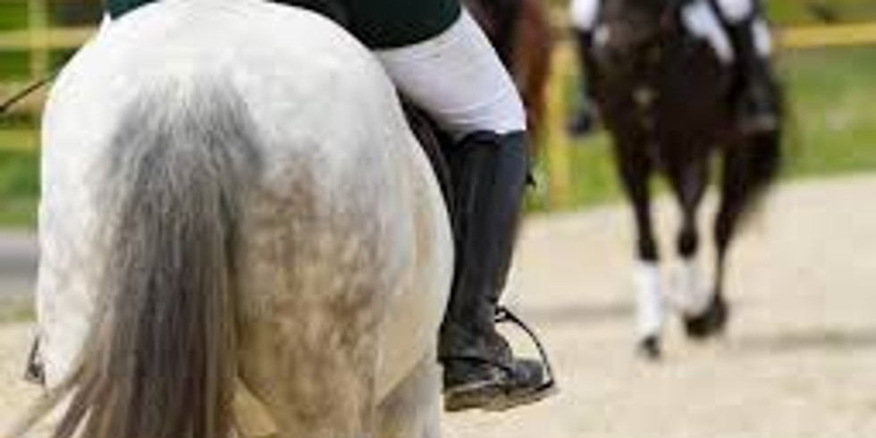 ERC Dressage Show C
