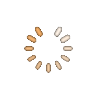 loader Spinner.gif