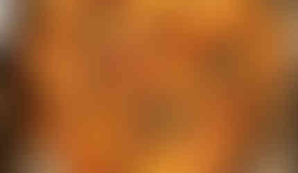 North of Brooklyn Pizzeria (Toronto, ON)