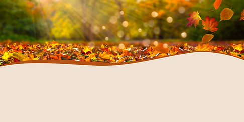 Brown Beige Minimalist Modern Benefit of Bone Broth Instagram Post (Copertina di Facebook)