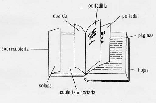 libro+y+sus+partes