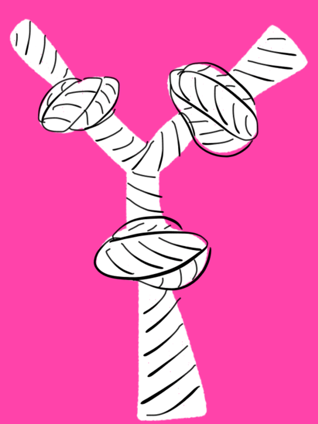 literal-alphabet-25