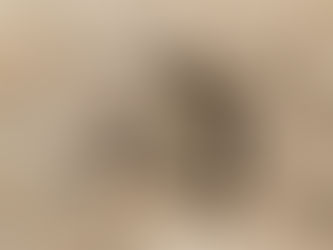 Break up the fallow ground