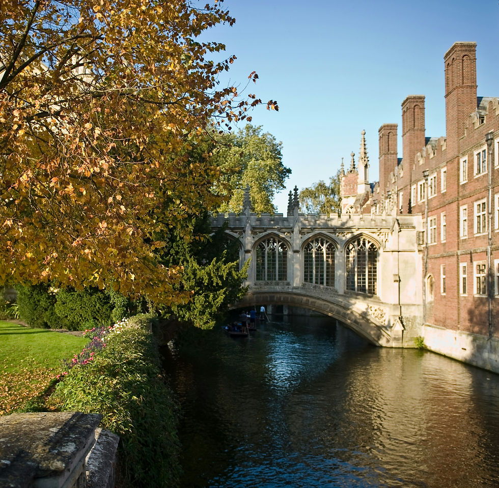 Cambridge - FonD Members Meet Up