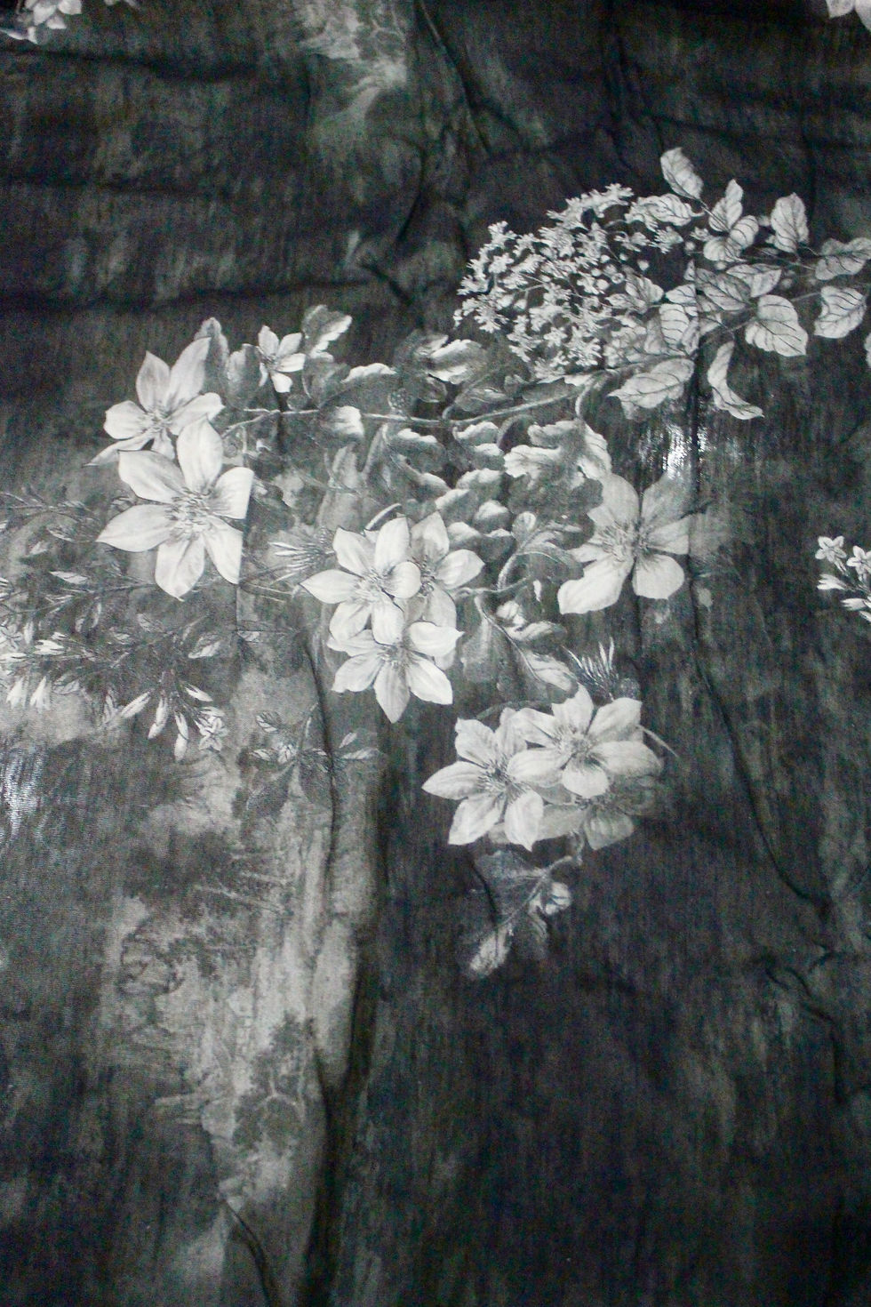 Thumbnail: Whispering Blooms