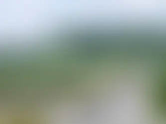 Improvement scheme for one of Kent's worst roads sees wildlife concerns raised