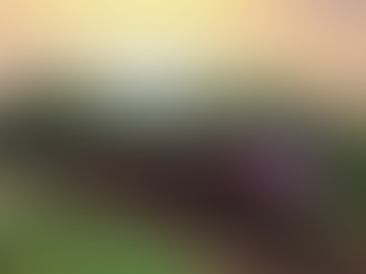 A new dawn breaks as Transport UK and EMR confirms first Aurora train will enter service this December