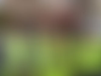 New City College and Kenson Highways partner for new course