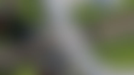 CCTV Installation Cuts Dangerous Driving at Hilton Level Crossing