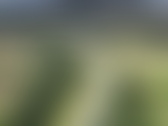 Work starts on £308m Tomatin to Moy section of A9 dualling