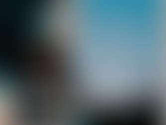 Edition 17 of Insight Magazine available - in partnership with Driving for Better Business