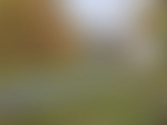 Ringway retains Hertfordshire highways